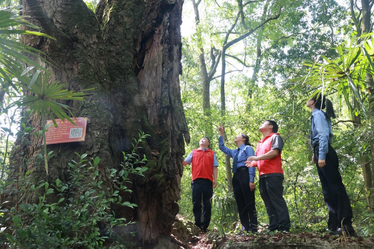 貴州惠水：司法盾牌守護“生態(tài)瑰寶”